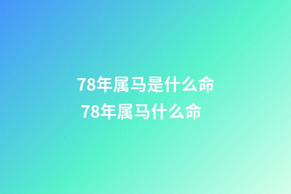 78年属马是什么命 78年属马什么命